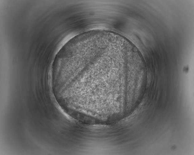 X0000098151290200805011359