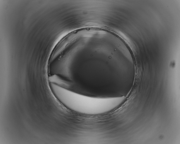 X0000098151291200805011359