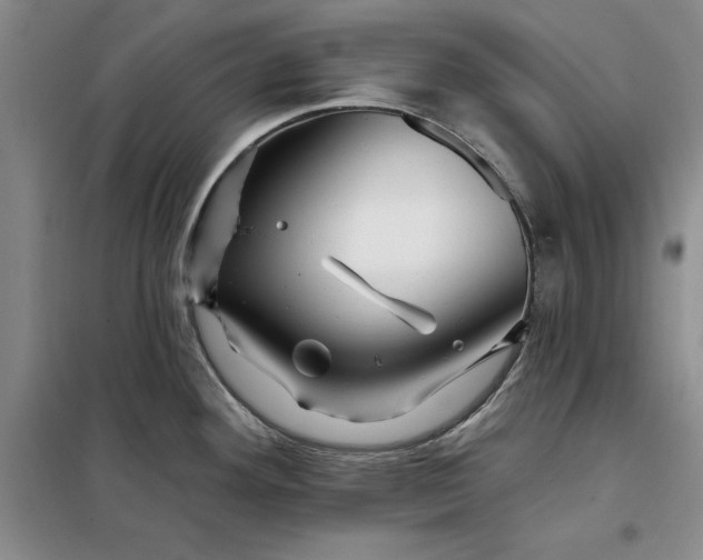 X0000098151292200805011359