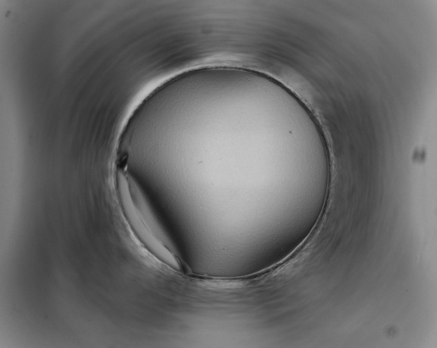 X0000098151296200805011359