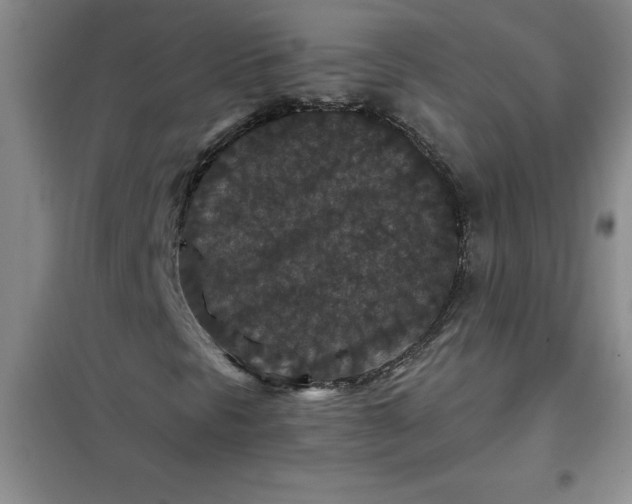 X0000098151297200805011358