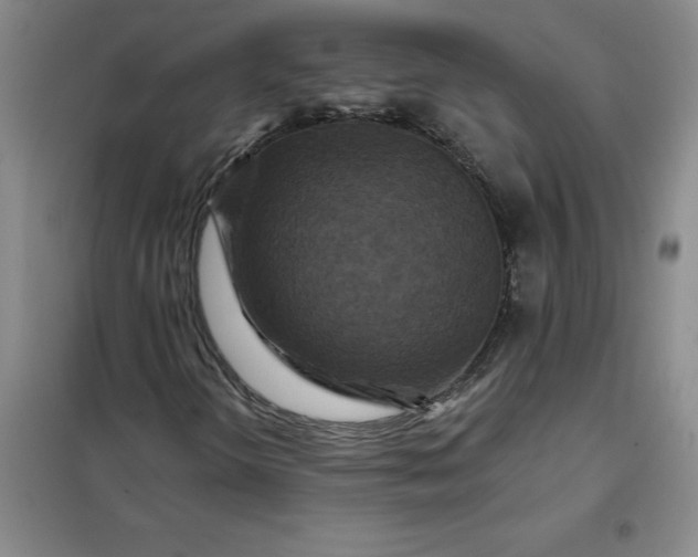 X0000098151298200805011358