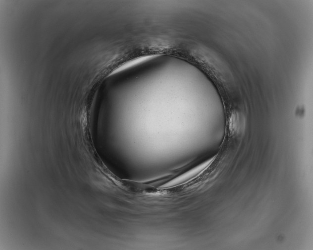 X0000098151299200805011358