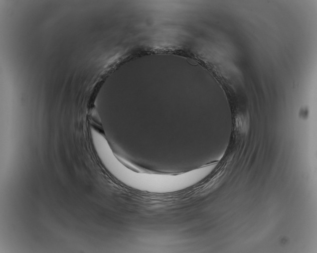 X0000098151300200805011358