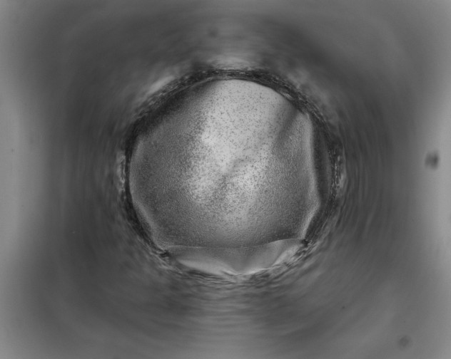 X0000098151301200805011358
