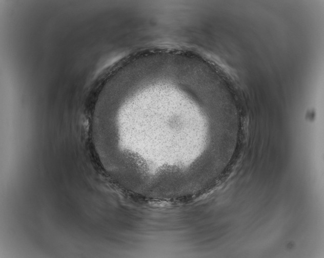 X0000098151302200805011358