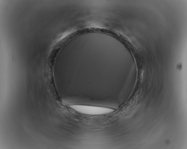 X0000098151303200805011358