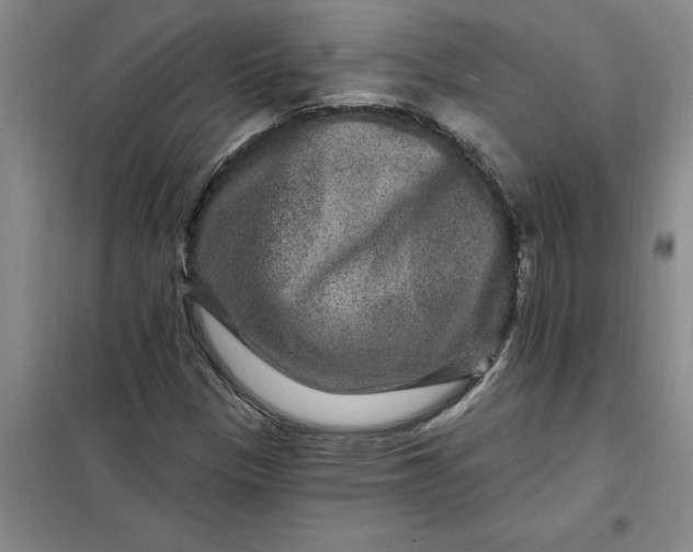 X0000098151305200805011358