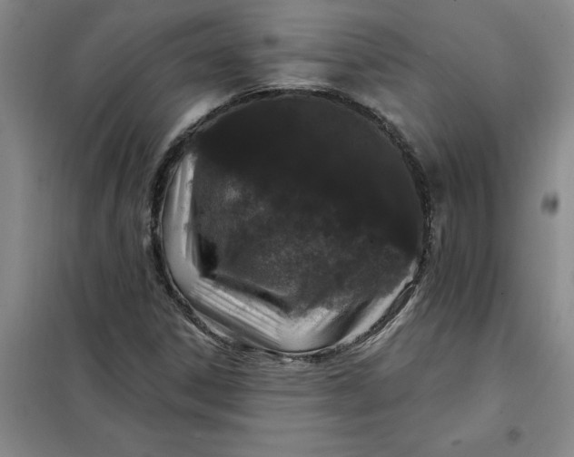 X0000098151306200805011358