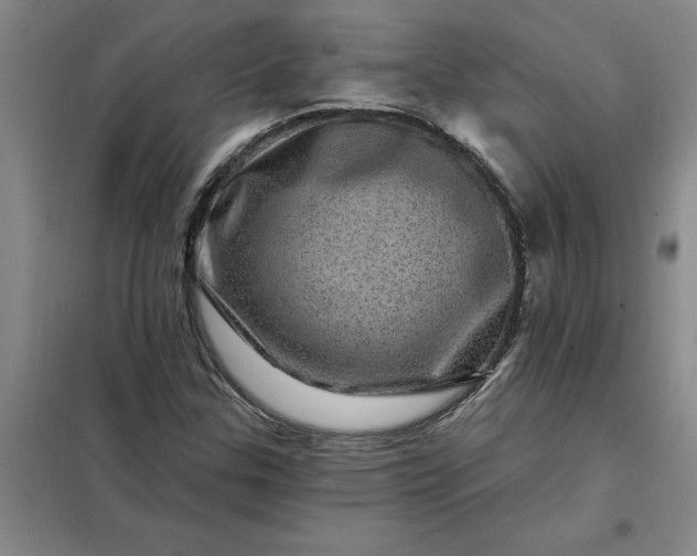 X0000098151307200805011358