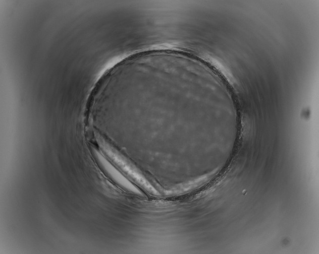X0000098151308200805011358