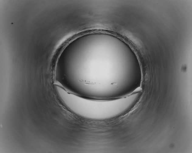 X0000098151310200805011358