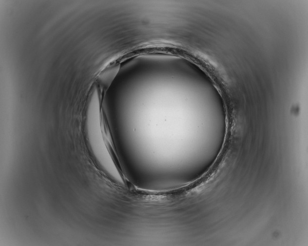 X0000098151313200805011358