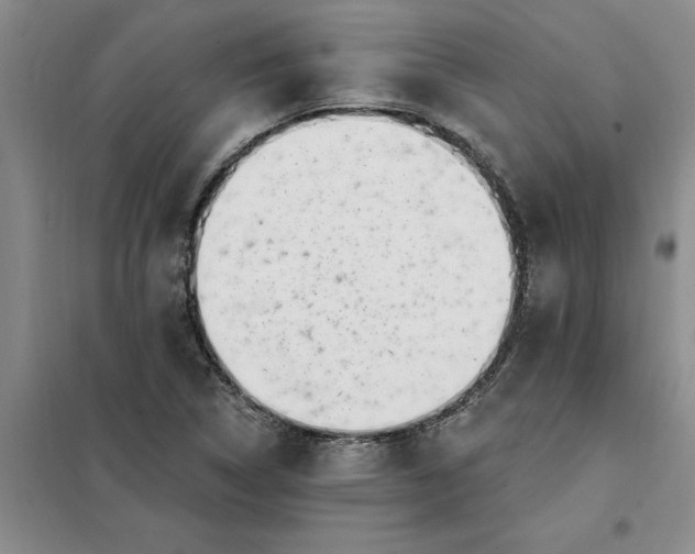 X0000098151314200805011358