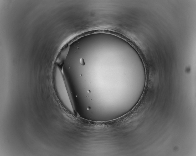 X0000098151316200805011358