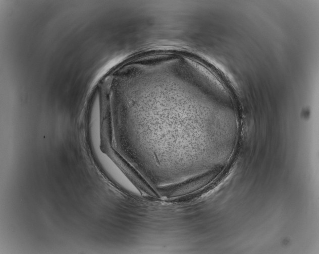 X0000098151317200805011358