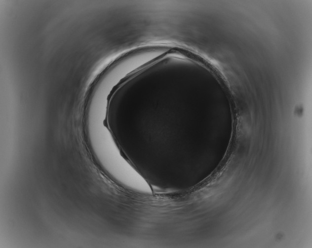 X0000098151319200805011358
