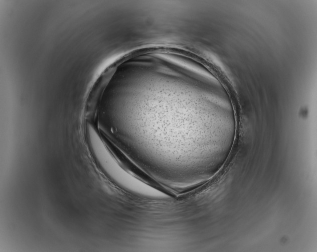 X0000098151320200805011358