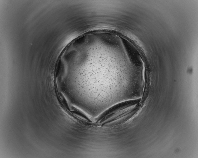 X0000098151321200805011358