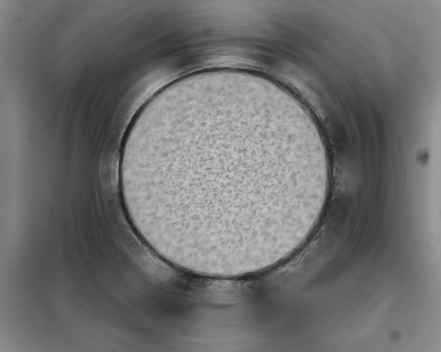 X0000098151322200805011358