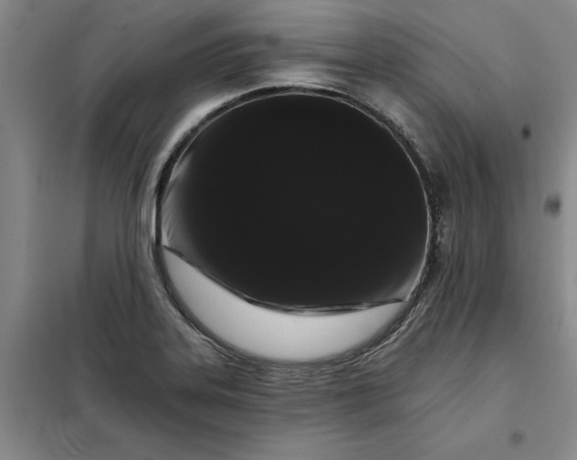 X0000098151323200805011358