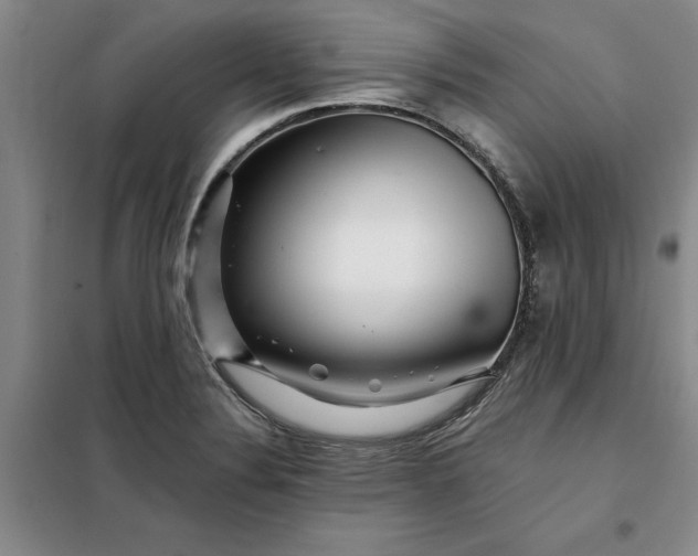 X0000098151324200805011358