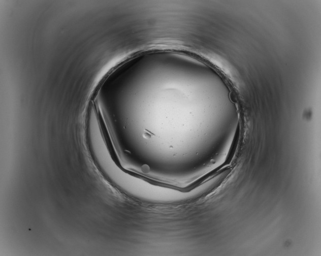 X0000098151325200805011358
