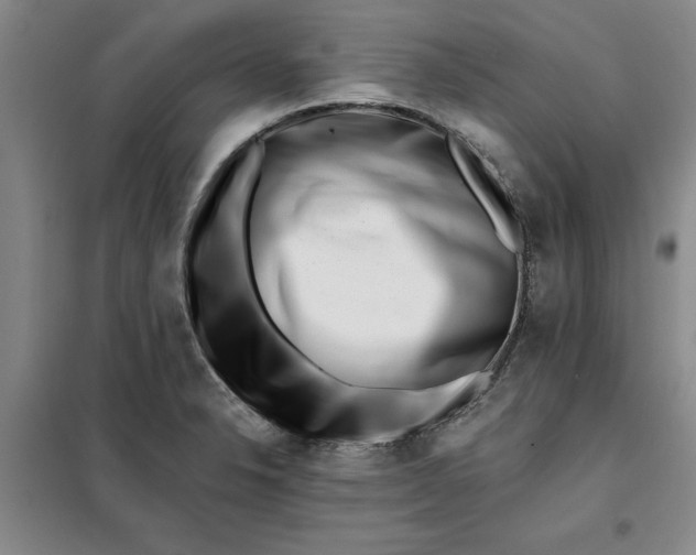 X0000098151326200805011358