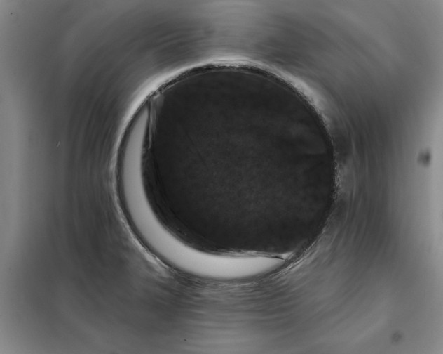 X0000098151327200805011358