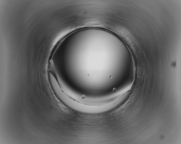 X0000098151328200805011358