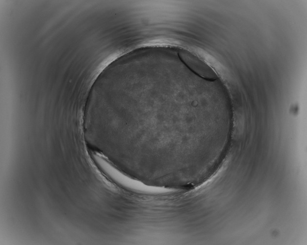 X0000098151329200805011358