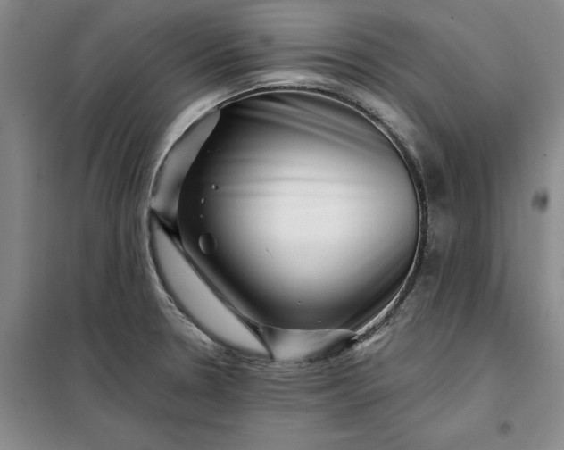 X0000098151330200805011358