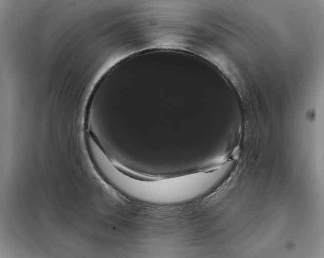 X0000098151331200805011358