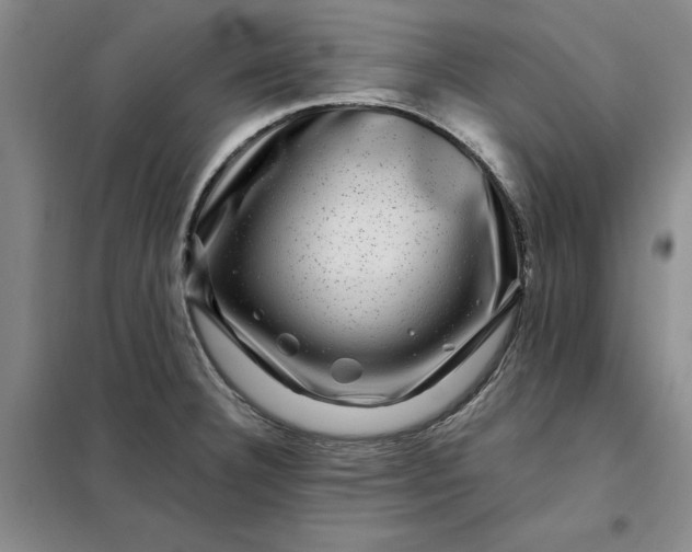 X0000098151332200805011358