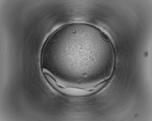 X0000098151333200805011358