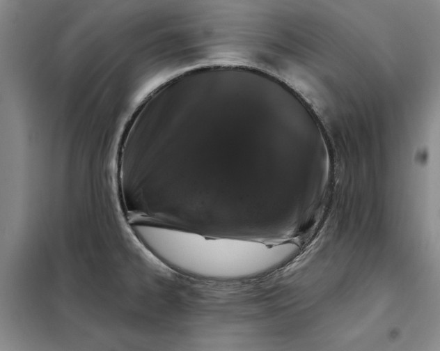 X0000098151334200805011358
