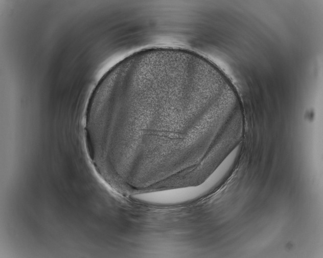 X0000098151335200805011358