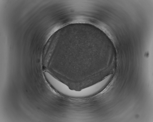 X0000098151337200805011359