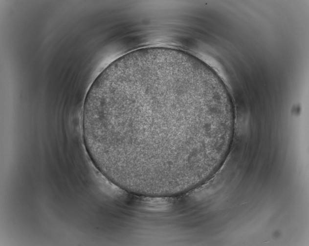 X0000098151338200805011359