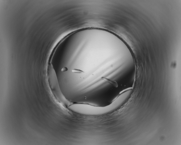 X0000098151339200805011359