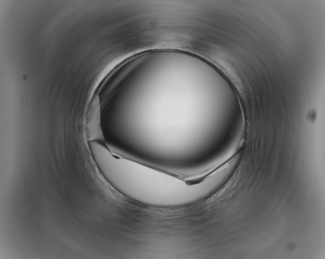 X0000098151340200805011359