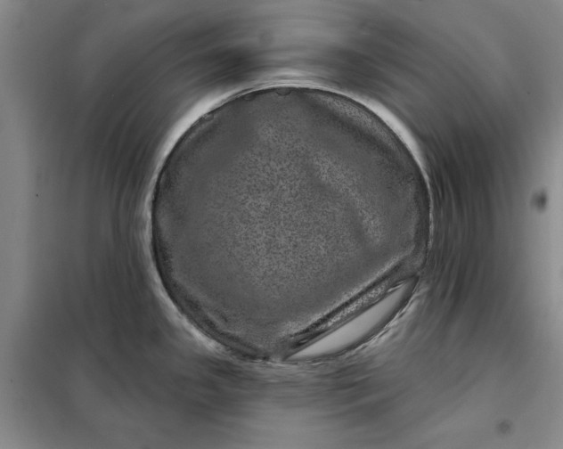 X0000098151341200805011359