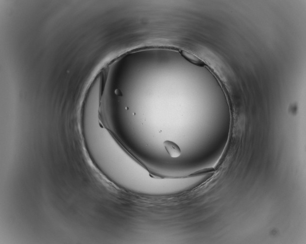 X0000098151342200805011359