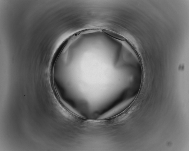 X0000098151344200805011359