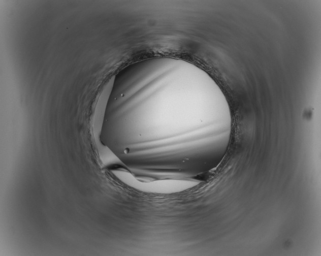 X0000098151345200805011358