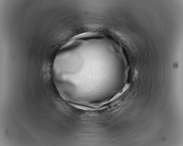 X0000098151346200805011358