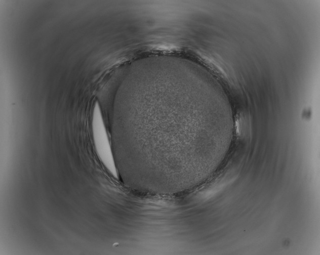 X0000098151347200805011358