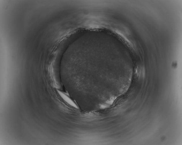 X0000098151348200805011358