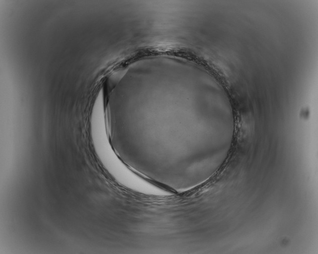 X0000098151349200805011358