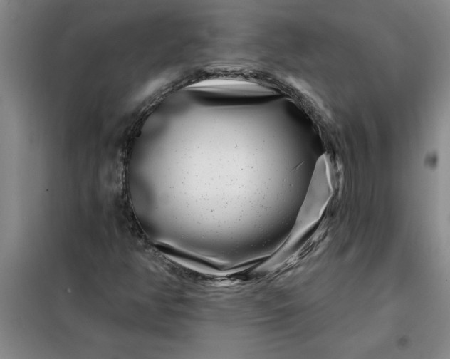 X0000098151350200805011358